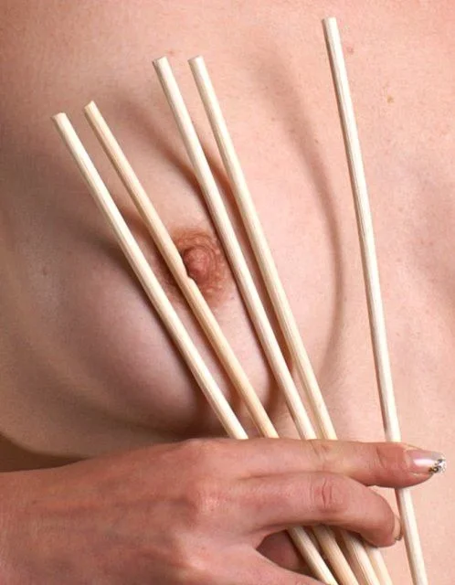 5er-Pack Cane unbehandelt – geschält, Ø ca. 5mm, Länge ca. 60cm