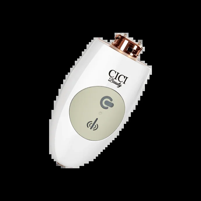 ‚CICI Controller‘