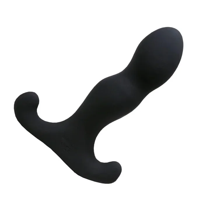 Aneros Vice 2 Vibrating Prostate Massager