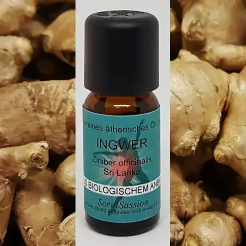 Ätherisches Öl ‘Ingwer (Ziniber officinalis)‘ Bio
