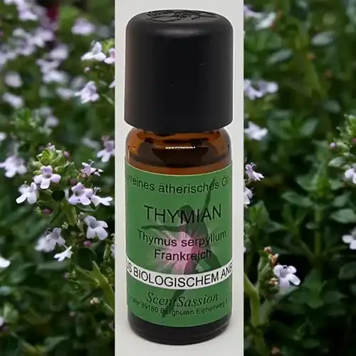 Ätherisches Öl ‘Thymian (Thymus serpyllum)‘ Bio