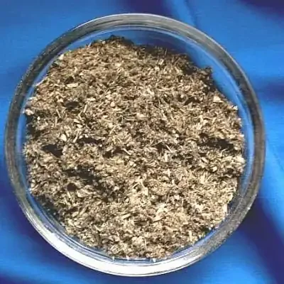 Beifuß (Artemisia vulgaris)