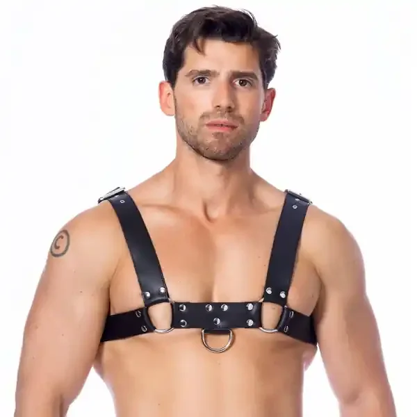 Bodyharness
