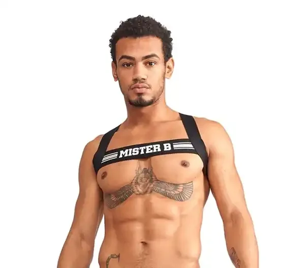 Club Harness Grau