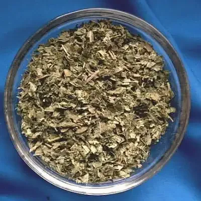 Eisenkraut (Verbena officinalis