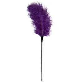 Feder-Tickler, Violett
