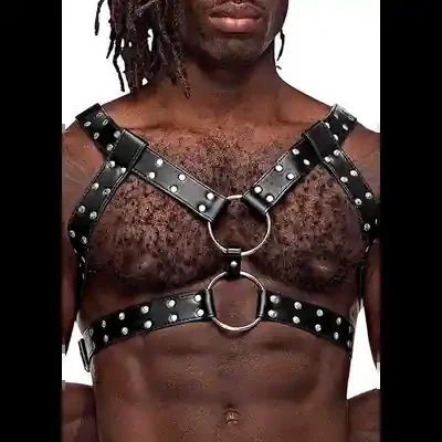 Gemini – Imitation Leather Harness – One Size – Black