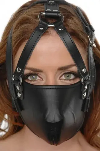 Gesichts Harness