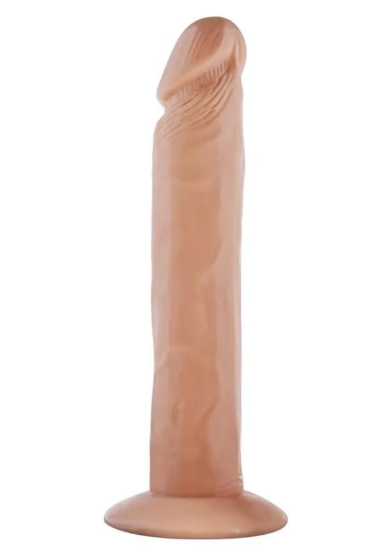 Gestreckter Penis mit Saugfuß
