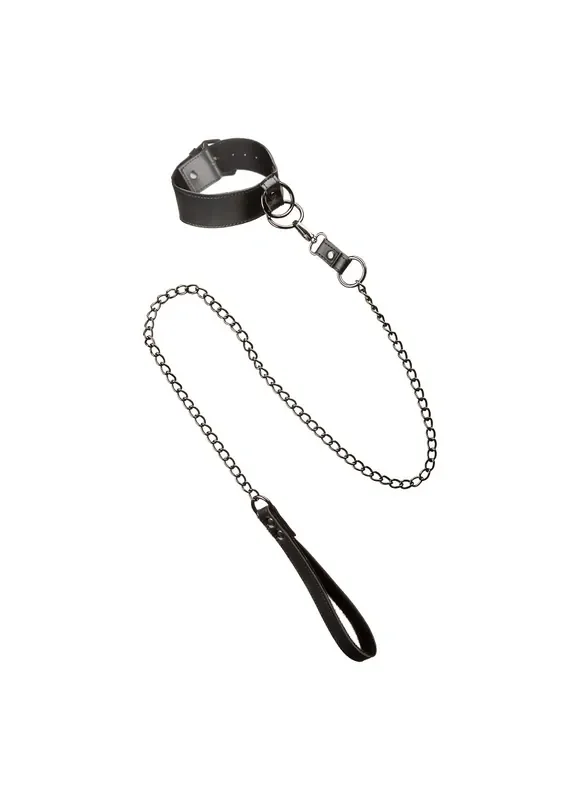 Halsband mit Kettenleine