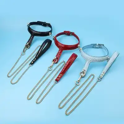 Halsband mit Leine