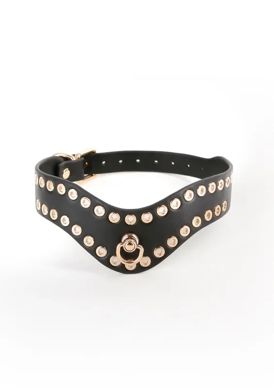 Halsband mit Lochnieten