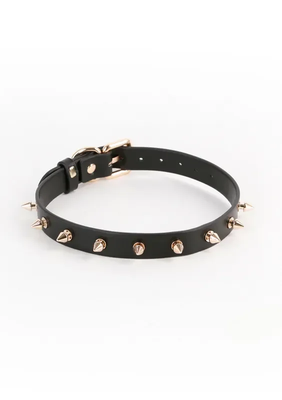 Halsband mit Spikenieten