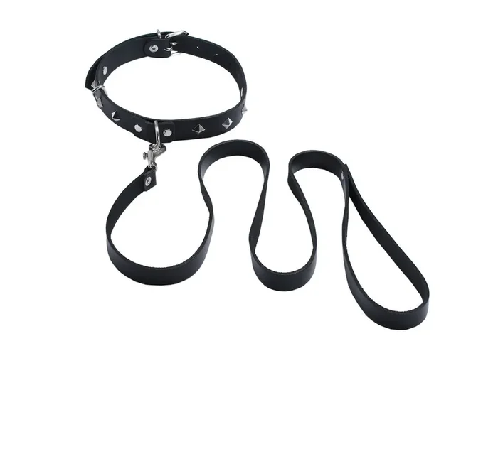 Halsband und Leine mit Nieten