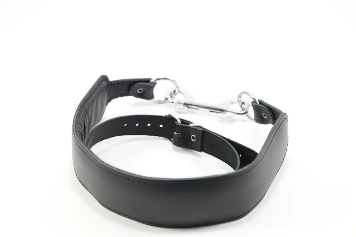 Halsfessel Leder