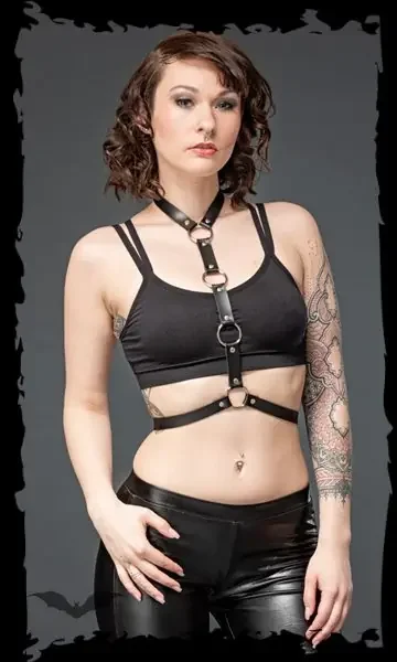 Harness mit 4 Ringen an der Vorderseite