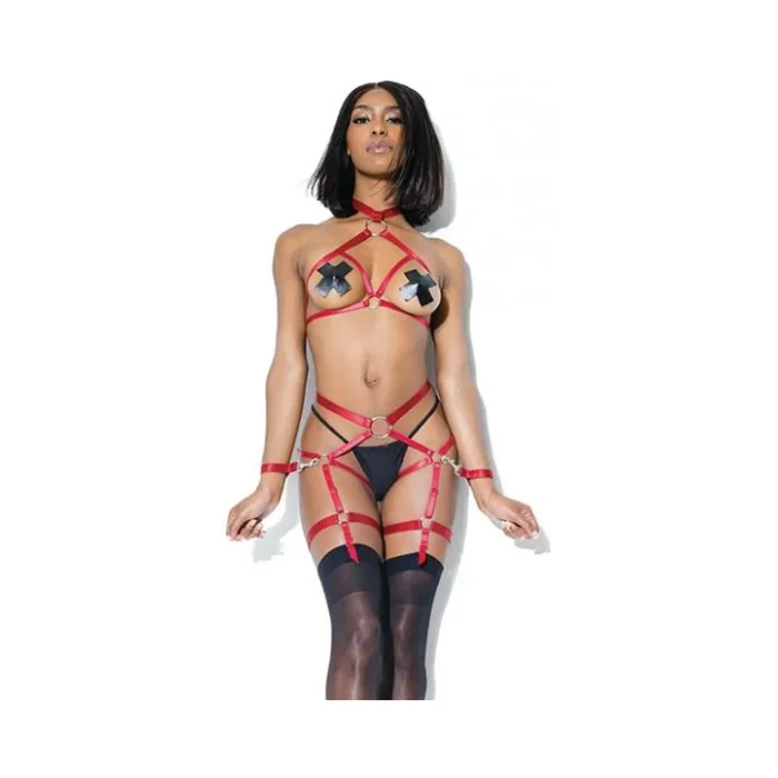 Harness Top And Crotchless Panty Merlot