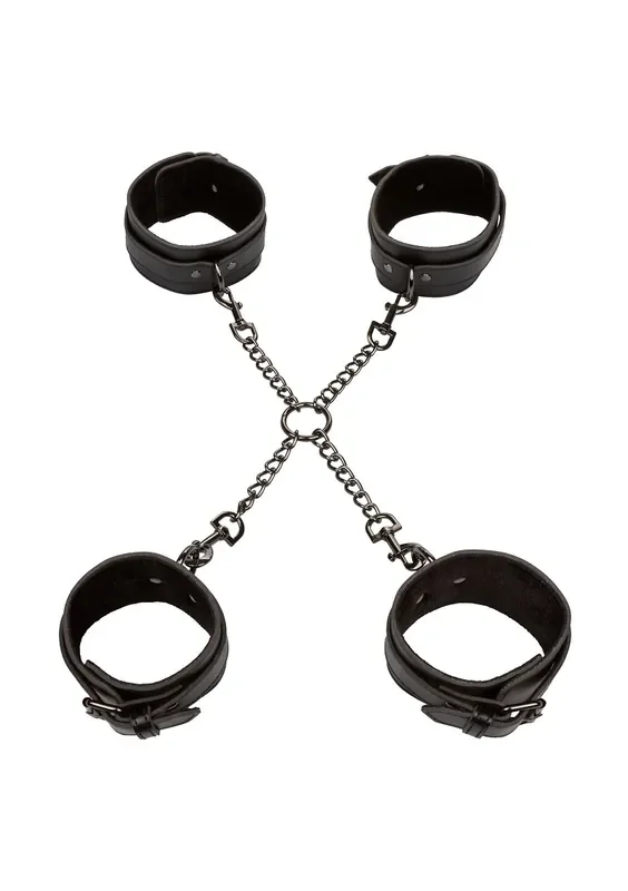 Hogtie mit D-Ringen