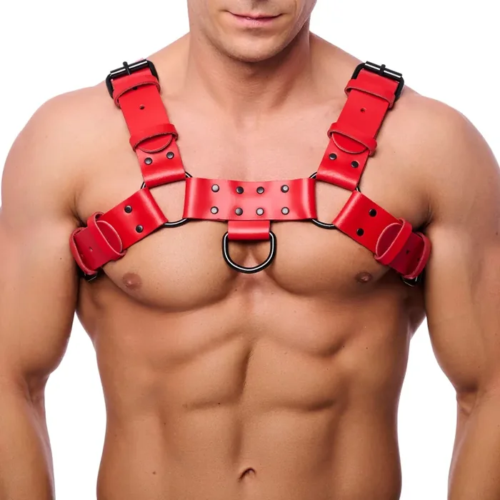 Hundegeschirr Leder – Rot