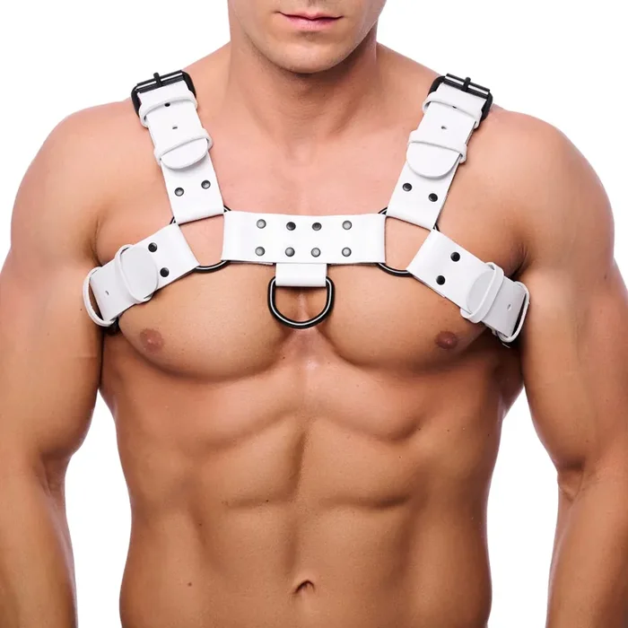 Hundegeschirr Leder – Weiß