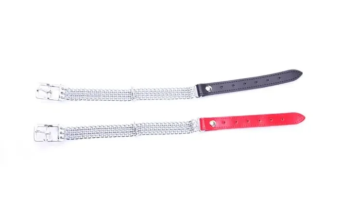 Ketten – Halsband