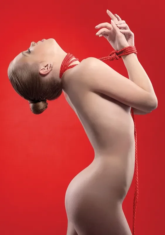 Kinbaku Seile – rot