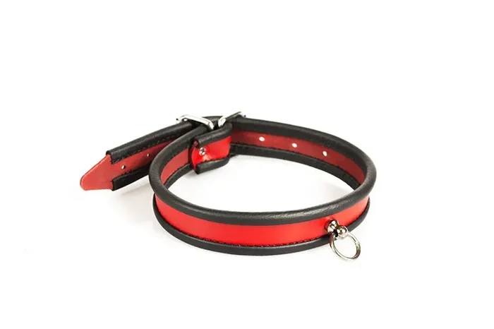 Klassisches Halsband mit O-Ring