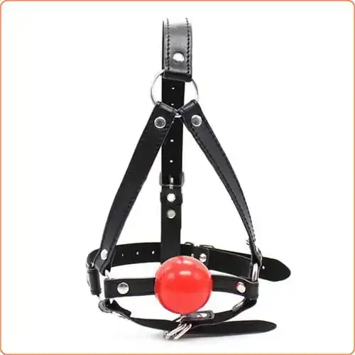 Kopfharness mit Knebelball