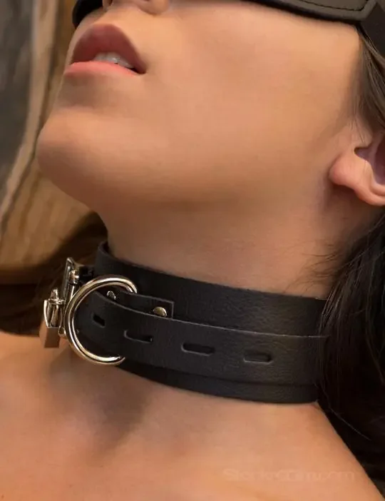Kunstleder Halsband mit D-Ring