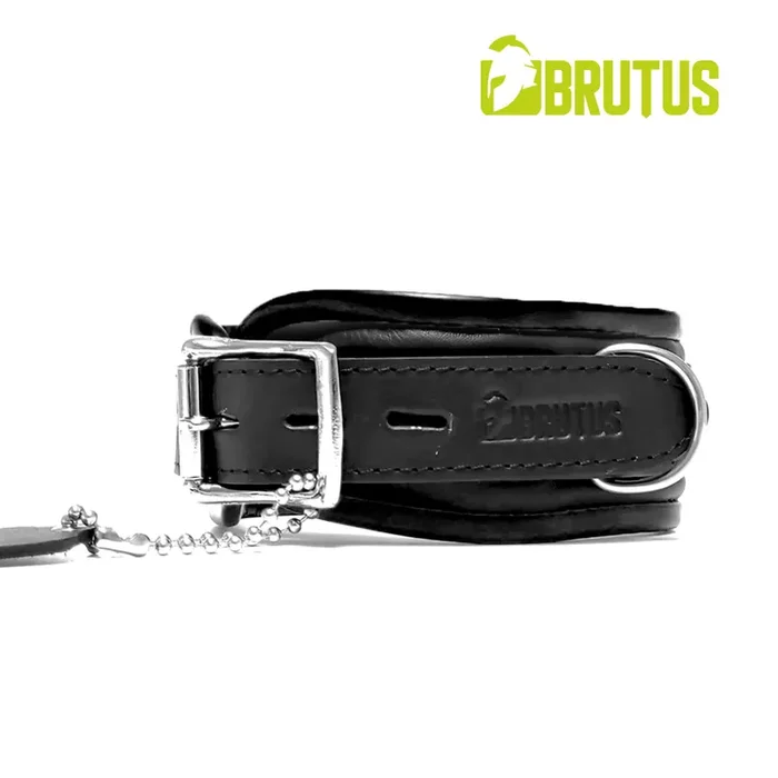 Leder Halsband