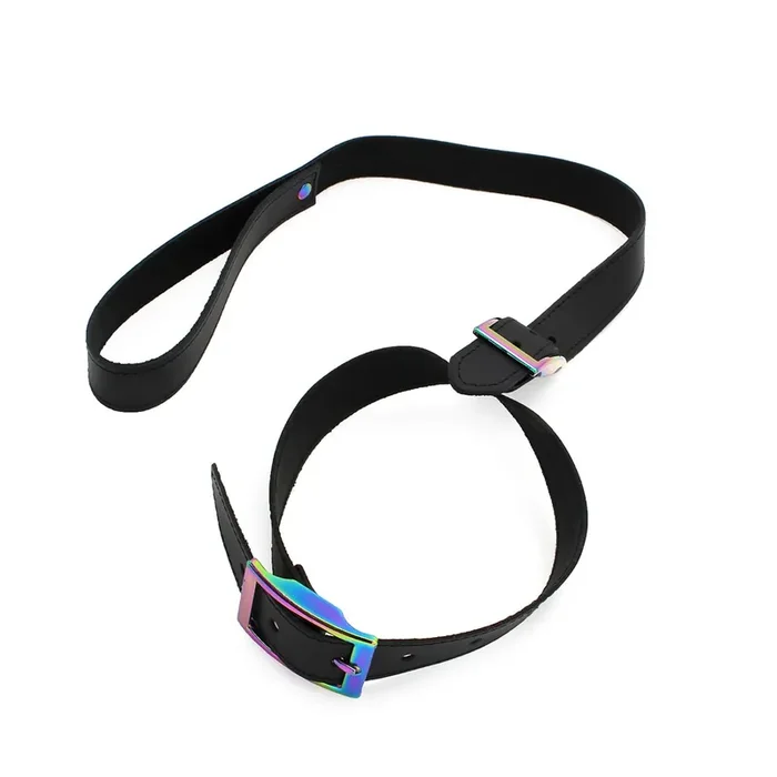 Leder Halsband mit Leine und regenbogenfarbener Schnalle