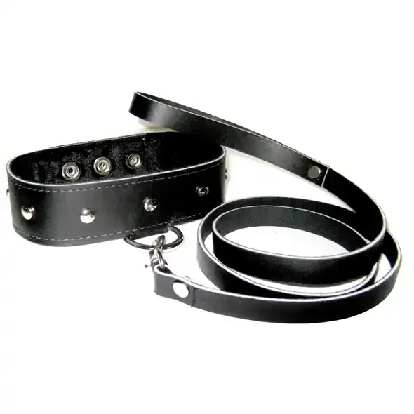 Leder Halsband und Leine