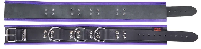Leder-Halsfessel lila-schwarz