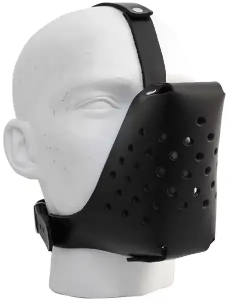 Leder Hunde Maulkorb