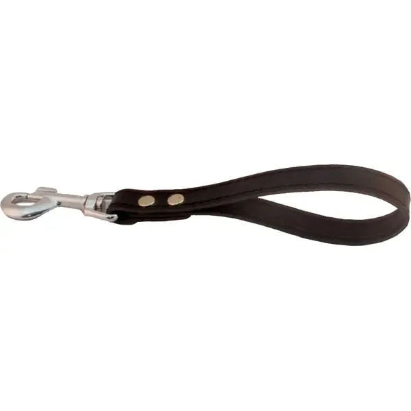 Leder-Hundeleine