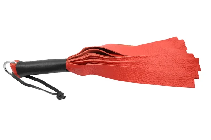 Leder Peitsche