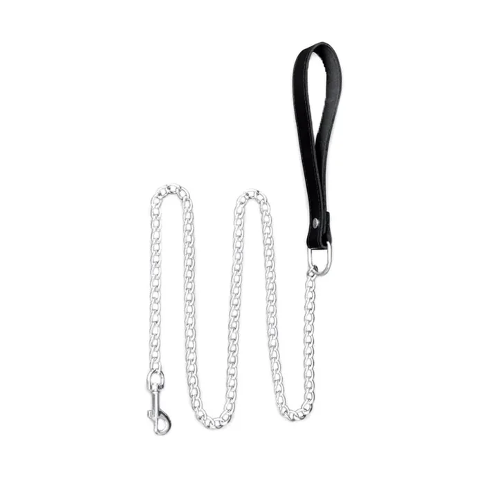 Leine mit Leder Handschlaufe