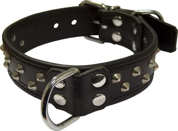 MisterB Sklavenhalsband