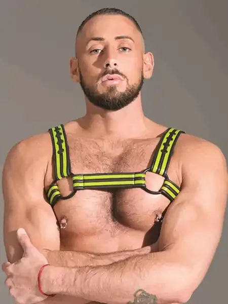 Neopren Bulldog Harness – grün