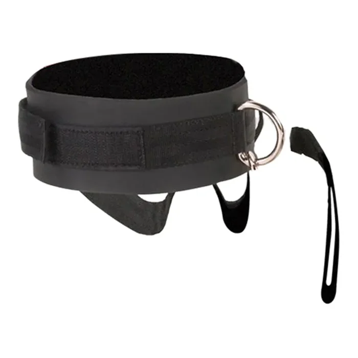 Neoprene Leash & Collar
