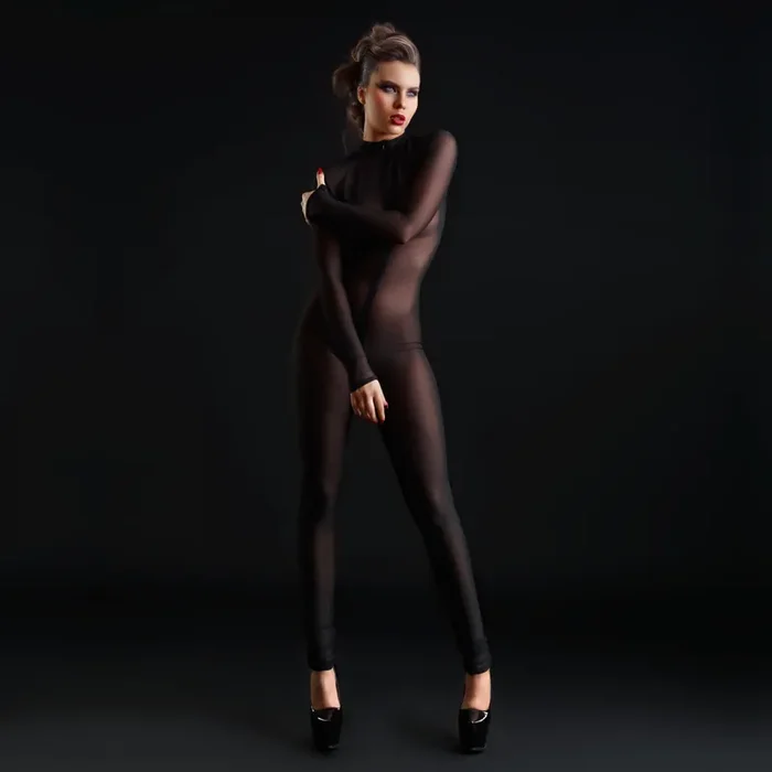 Netz-Catsuit mit langen Ärmeln und Beinen