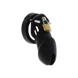 Peniskäfig Hidden Desire Extreme Chastity L