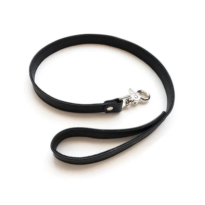 Premium Garment Leather Leash, 2.5′