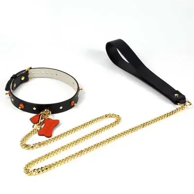 Puppy Halsband