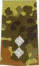 Rangschlaufen (Heer) Bw flecktarn ‘Oberleutnant‘
