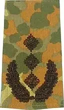 Rangschlaufen (Heer) Bw flecktarn ‘Oberst‘
