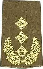 Rangschlaufen (Heer) Bw oliv ‘General-Leutnant‘