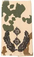 Rangschlaufen (Heer) Bw tropentarn ‘Oberstleutnant‘
