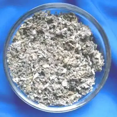 Salbei (Salvia officinalis)