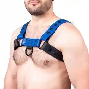 Snap Ledergeschirr Schwarz-Blau